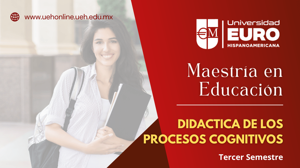 Didactica de los Procesos Cognitivos